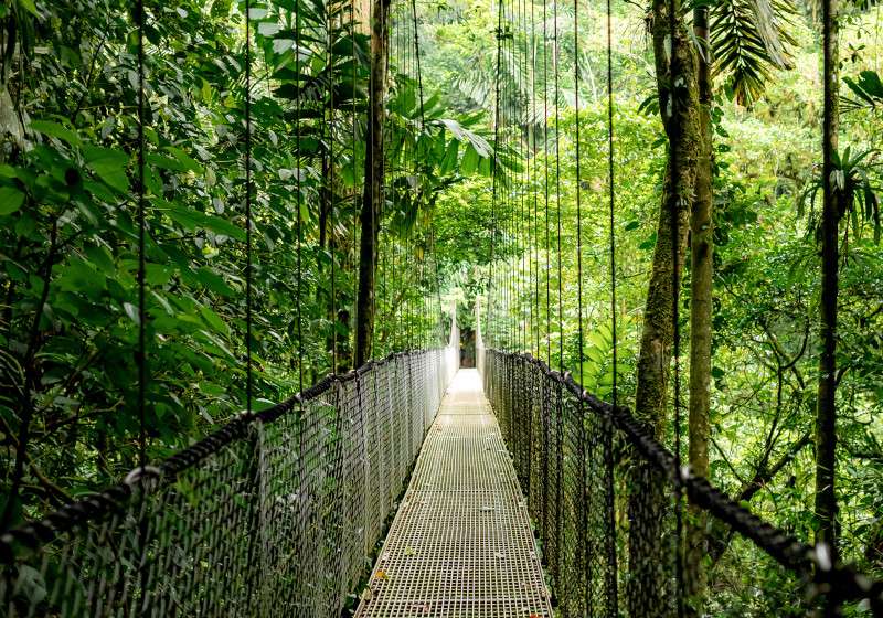 Sustainability is a journey.