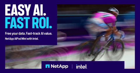 Easy AI. Fast ROI.